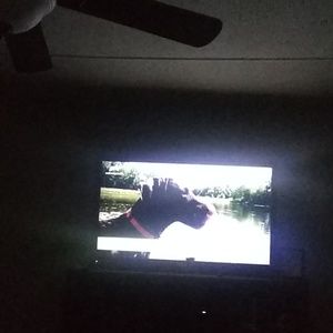 Meet your Posher, Bobby